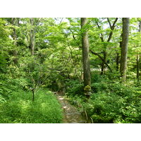 照片 日本(Japan) 东京(Tokyo) 根津美术馆(Nezu Museum) 2010-06 95