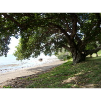 照片 新喀里多尼亚(New Caledonia) 蒂奥(Thio) 2010-05 5