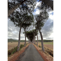 照片 意大利(Italy) 托斯卡纳(Tuscany) 2021-09 10