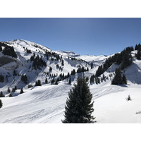 照片 法国(France) 梅杰夫(Megeve) 2019-03 90
