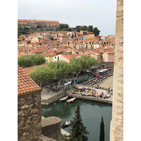 照片 法国(France) 科利乌尔(Collioure) 2018-04 219