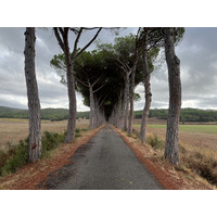 照片 意大利(Italy) 托斯卡纳(Tuscany) 2021-09 9