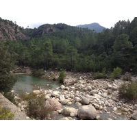 照片 法国(France) 科西嘉岛(Corsica) 索伦扎拉(Solenzara) 2012-09 13