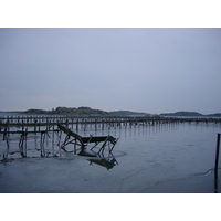 照片 瑞典(Sweden) 哥德堡(Gothenburg) 2003-01 18