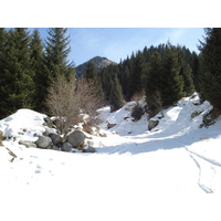 照片 哈萨克斯坦(Kazakhstan) 伊犁阿拉套国家公园(Ile Alatau National Park) 2007-03 85