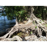 照片 泰国(Thailand) 象岛(Ko Chang) 2011-12 0