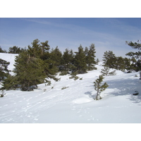 照片 法国(France) 格雷奥利耶(Greolieres) 2006-02 21