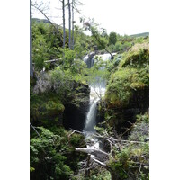 照片 英国(United Kingdom) 苏格兰(Scotland) 马里湖(Loch Maree) 2011-07 36