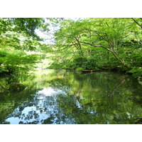 照片 日本(Japan) 东京(Tokyo) 根津美术馆(Nezu Museum) 2010-06 67