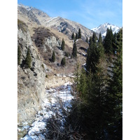 照片 哈萨克斯坦(Kazakhstan) 伊犁阿拉套国家公园(Ile Alatau National Park) 2007-03 51