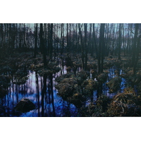 照片 爱尔兰(Ireland) 都柏林(Dublin) 圣斯蒂芬绿地(St. Stephen's Green) 2008-09 33