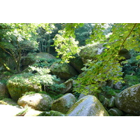 照片 法国(France) 于埃尔瓜特(Huelgoat) 2007-08 22