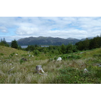 照片 英国(United Kingdom) 苏格兰(Scotland) 马里湖(Loch Maree) 2011-07 31