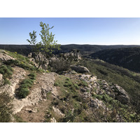 照片 法国(France) 尼姆(Nimes) 2021-05 38