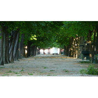 照片 法国(France) 巴黎(Paris) 香榭丽舍大街(Champs Elysees) 2007-04 88
