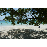 照片 塞舌尔(Seychelles) 拉齐奥湾(Anse Lazio) 2011-10 166