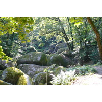 照片 法国(France) 于埃尔瓜特(Huelgoat) 2007-08 49
