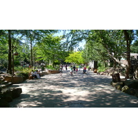 照片 法国(France) 巴黎迪士尼乐园(Disneyland Paris) 探险世界(Adventureland) 2007-07 57