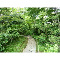 照片 日本(Japan) 东京(Tokyo) 根津美术馆(Nezu Museum) 2010-06 16