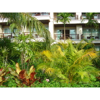 照片 泰国(Thailand) 考拉(Khao Lak) 考拉艾美酒店(Meridien Khao Lak Hotel) 2005-12 347