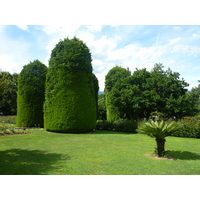 照片 意大利(Italy) 帕拉维奇诺别墅(Villa Pallavicino) 2009-06 20