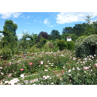 照片 意大利(Italy) 帕拉维奇诺别墅(Villa Pallavicino) 2009-06 88
