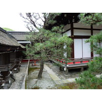 照片 日本(Japan) 京都(Kyoto) 下鸭神社(Kamomioya Shrine(Shimogamo Shrine)) 2010-06 42