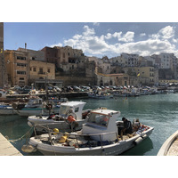 照片 意大利(Italy) 西西里岛(Sicily) 卡斯特拉马雷德尔戈尔福(Castellammare del Golfo) 2020-02 19