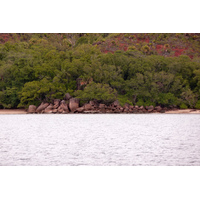 照片 塞舌尔(Seychelles) 居里厄斯岛(Curieuse) 2011-10 49
