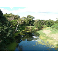 照片 新喀里多尼亚(New Caledonia) 卡纳拉至拉福阿公路(Canala to La Foa road) 2010-05 32