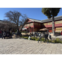 照片 中国(China) 丽江(Lijiang) 2026-01 34