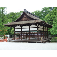 照片 日本(Japan) 京都(Kyoto) 下鸭神社(Kamomioya Shrine(Shimogamo Shrine)) 2010-06 13