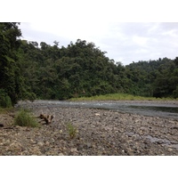 照片 哥斯达黎加(Costa Rica) 帕夸雷河(Pacuare River) 2015-03 181