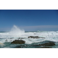 照片 南非(South Africa) 齐齐卡马国家公园(Tsitsikamma National Park) 2008-09 255