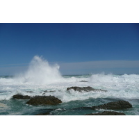 照片 南非(South Africa) 齐齐卡马国家公园(Tsitsikamma National Park) 2008-09 210