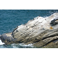 照片 法国(France) 拉兹角(Pointe du Raz) 2008-07 32