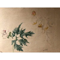 照片 意大利(Italy) 西西里岛(Sicily) 巴勒莫(Palermo) 诺曼王宫(Palazzo dei Normanni) 2020-02 120