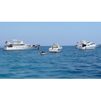 照片 法国(France) 昂蒂布角(Cap d'Antibes) 2007-07 42