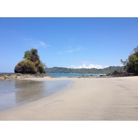 照片 哥斯达黎加(Costa Rica) 曼努埃尔安东尼奥(Manuel Antonio) 2015-03 191