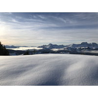 照片 法国(France) 阿尔利河畔普拉(Praz sur Arly) 2019-12 243