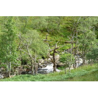 照片 英国(United Kingdom) 韦斯特罗斯(Wester Ross) 2011-07 151