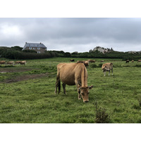 照片 法国(France) 布雷阿岛(Brehat Island) 2020-06 24