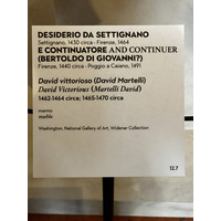 照片 意大利(Italy) 佛罗伦萨(Florence) 巴杰罗博物馆(Bargello Museum) 2022-05 67