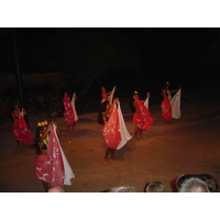 照片 波利尼西亚(Polynesia) 莫雷阿岛(Moorea) 2006-04 158