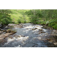 照片 英国(United Kingdom) 韦斯特罗斯(Wester Ross) 2011-07 133