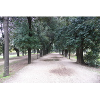 照片 意大利(Italy) 罗马(Rome) 多里亚·潘菲利别墅公园(Villa Doria Pamphili) 2007-11 29