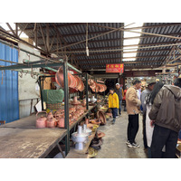 照片 中国(China) 丽江(Lijiang) 2026-01 137