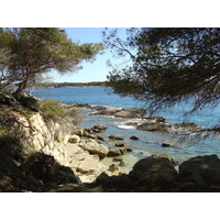 照片 法国(France) 戛纳(Cannes) 圣玛格丽特岛(Sainte Marguerite) 2004-05 28