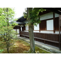 照片 日本(Japan) 京都(Kyoto) 二条城(Nijo Castle) 2010-06 102