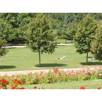 照片 法国(France) 维尔讷夫拉加雷讷(Villeneuve La Garenne) 尚特雷讷公园(Parc des Chanteraines) 2007-07 0